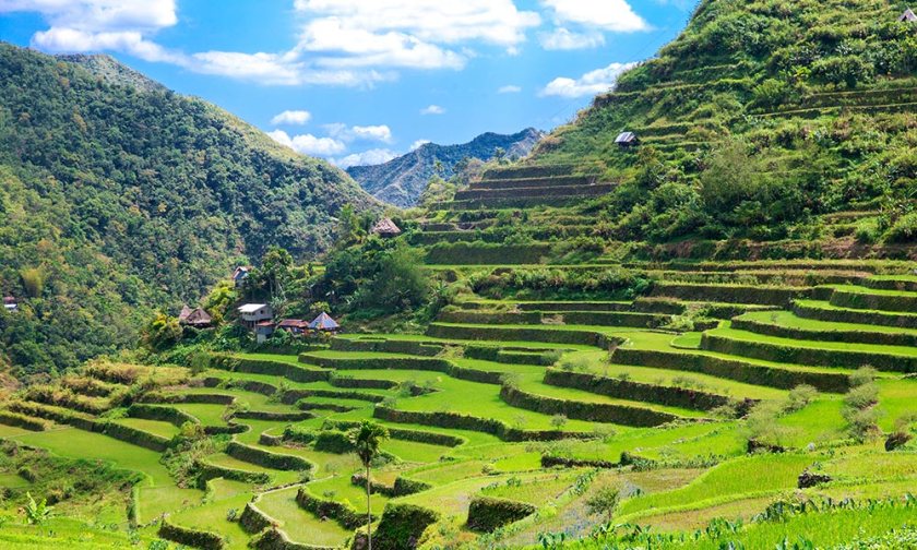 banaue-rice-terraces-in-the-philippines